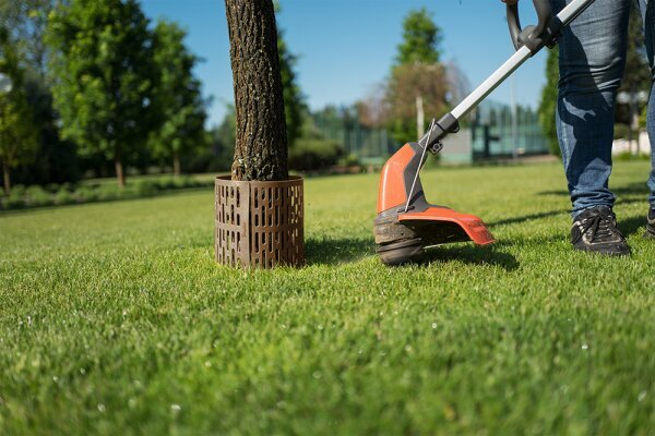 Medžio kamieno apsauga TreeSave, ruda, 5 vnt kaina ir informacija | Sodo įrankiai | pigu.lt