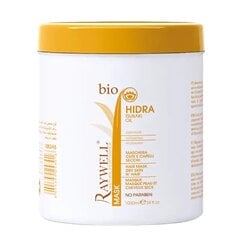 Raywell BIO HIDRA TSUBAKI OIL MASK 1000ml цена и информация | Средства для укрепления волос | pigu.lt