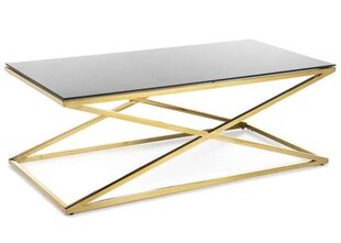 Кофейный столик Saliba Gold Black 120 см цена и информация | Журнальные столы | pigu.lt