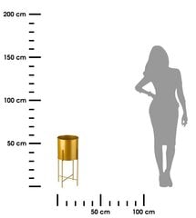Gėlių laikiklio korpusas, auksinis, 55 cm kaina ir informacija | Gėlių stovai, vazonų laikikliai | pigu.lt
