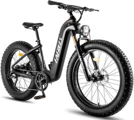 Электровелосипед Fafrees F26 CarbonX, 26", черный, 1000 Вт, 22,5 Ач цена и информация | Электровелосипеды | pigu.lt