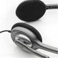 Logitech Stereo Headset H110 981-000271 цена и информация | Ausinės | pigu.lt