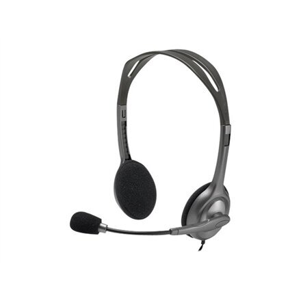 Logitech Stereo Headset H110 981-000271 цена и информация | Ausinės | pigu.lt