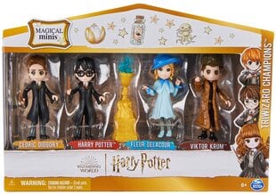 Kolekcinių figūrėlių rinkinys Wizarding World Harry Triwizard Champions Spin Master цена и информация | Игрушки для мальчиков | pigu.lt