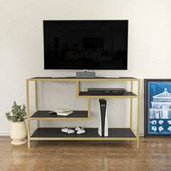 TV stovas Asir, 120x39x75 cm, auksinis/pilkas kaina ir informacija | TV staliukai | pigu.lt