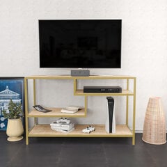 TV stovas Asir, 120x39x75 cm, auksinis/rudas kaina ir informacija | TV staliukai | pigu.lt