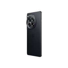 OnePlus 12 5G 12/256ГБ Silky Black цена и информация | Мобильные телефоны | pigu.lt