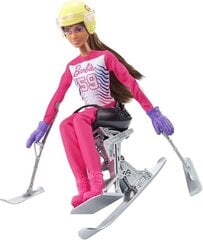 Lėlė Barbie Winter Sports Parolimpietė kaina ir informacija | Žaislai mergaitėms | pigu.lt