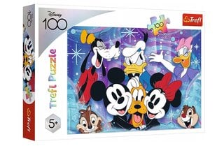 Dėlionė Trefl It's fun in the Disney world, 100 d. kaina ir informacija | Dėlionės (puzzle) | pigu.lt
