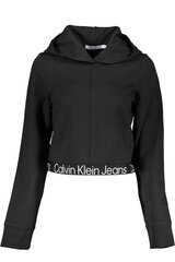 свитер calvin klein j20j221413 J20J221413_A754B06_NEROBEH_XL цена и информация | Женские толстовки | pigu.lt