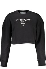 Calvin Klein džemperis moterims J20J221334, juodas kaina ir informacija | Džemperiai moterims | pigu.lt