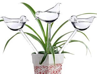 Stiklinė kolba kambariniams augalams, Electronics LV-250 kaina ir informacija | Laistymo įranga, purkštuvai | pigu.lt
