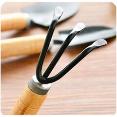 Садовые инструменты с деревянной ручкой, Electronics LV-251, 3 шт цена и информация | Садовые инструменты | pigu.lt