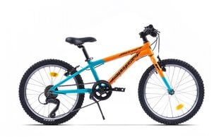 Vaikiškas dviratis Pegasus 20'', oranžinis kaina ir informacija | Dviračiai | pigu.lt