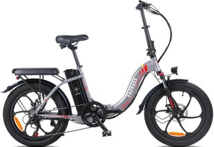 Elektrinis dviratis Fafrees F20 20", pilkas kaina ir informacija | Elektriniai dviračiai | pigu.lt