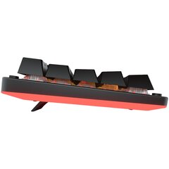 Cougar Puri Mini RGB kaina ir informacija | Klaviatūros | pigu.lt