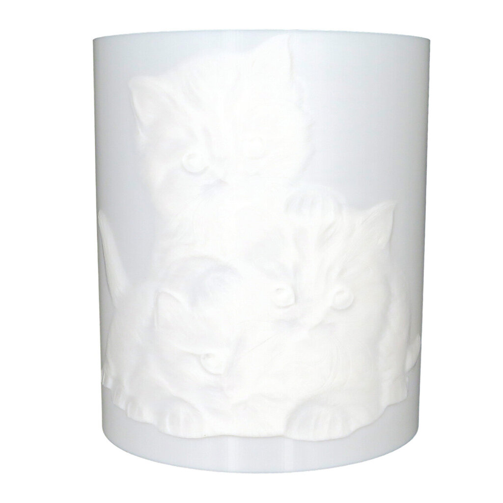 3Dgaminiai sieninis šviestuvas Kačiukai kaina ir informacija | Sieniniai šviestuvai | pigu.lt
