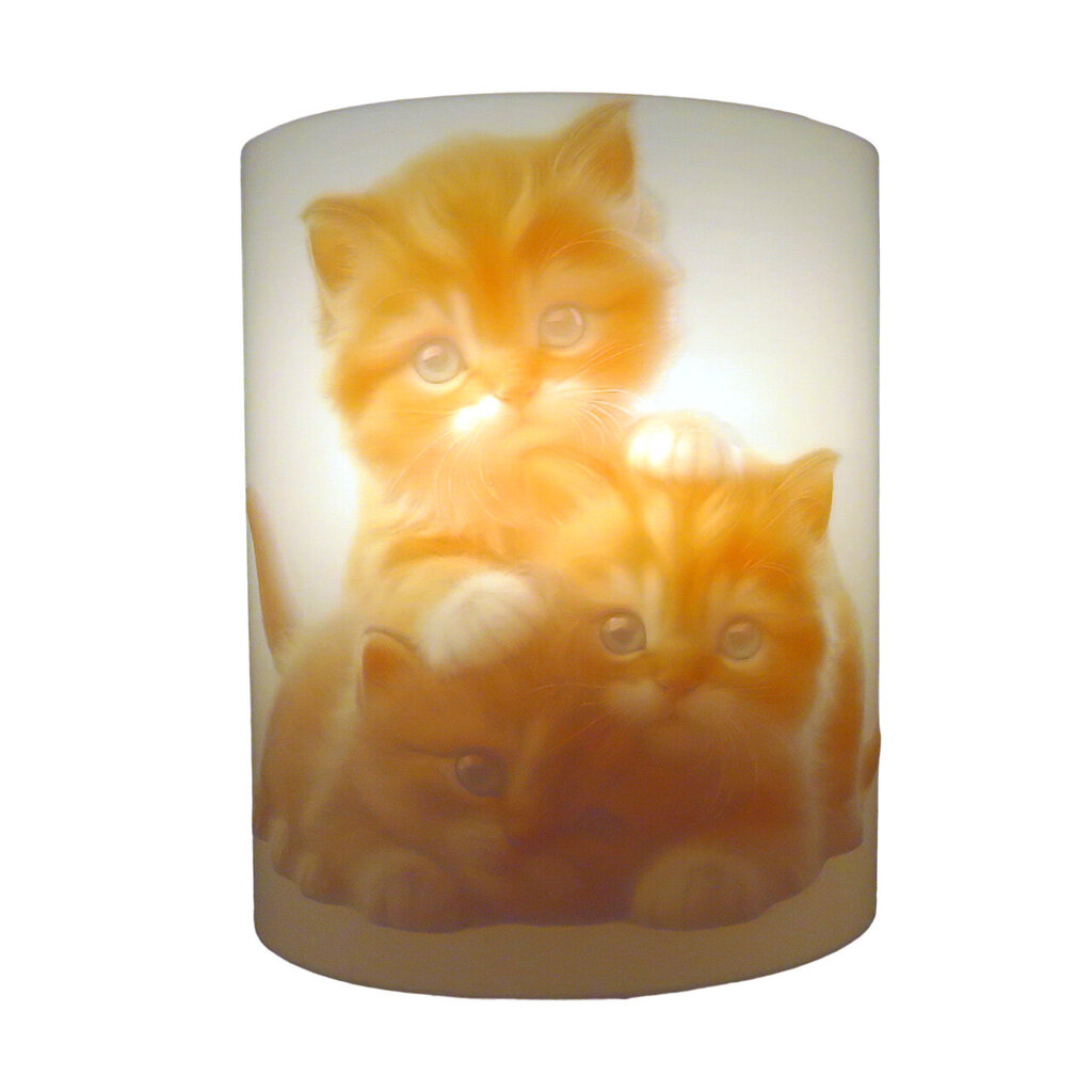 3Dgaminiai sieninis šviestuvas Kačiukai kaina ir informacija | Sieniniai šviestuvai | pigu.lt