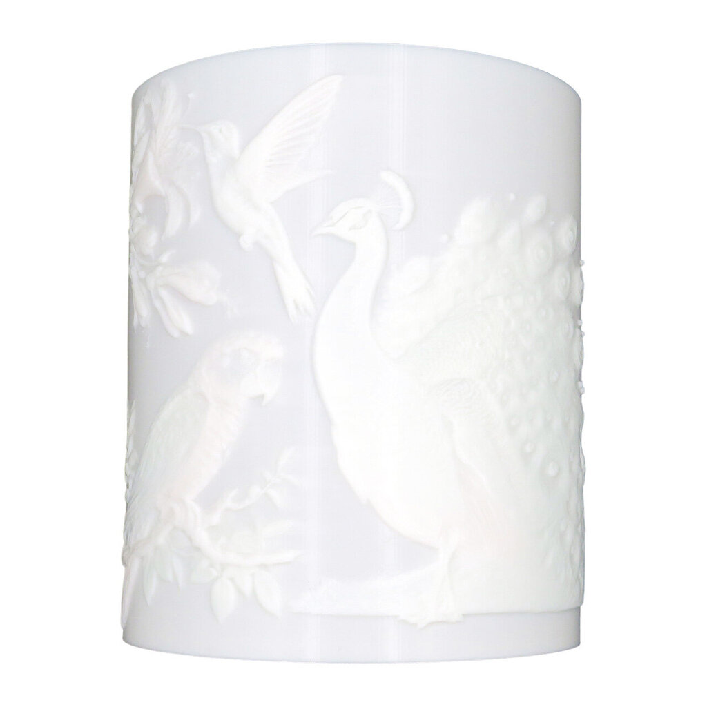 3Dgaminiai sieninis šviestuvas Paukščiai kaina ir informacija | Sieniniai šviestuvai | pigu.lt