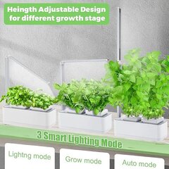 Умный горшок для растений Clizia Smart Garden, белый цена и информация | Проращиватели, лампы для растений | pigu.lt