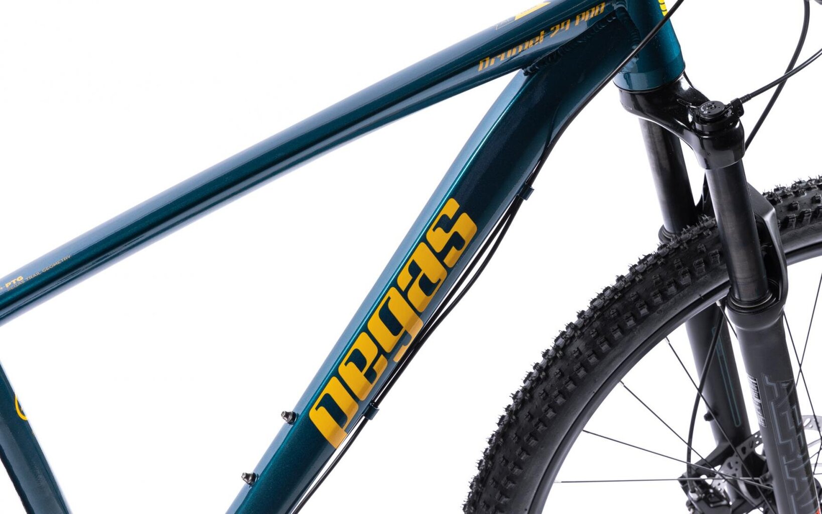 Miesto dviratis Pegasus Drumet Pro 29'', mėlynas kaina ir informacija | Dviračiai | pigu.lt