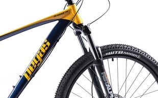 Miesto dviratis Pegasus Drumlet 29'', mėlynas цена и информация | Велосипеды | pigu.lt