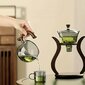 Stiklinis arbatinukas su magnetiniu vandens nukreipimu kaina ir informacija | Kavinukai, virduliai | pigu.lt
