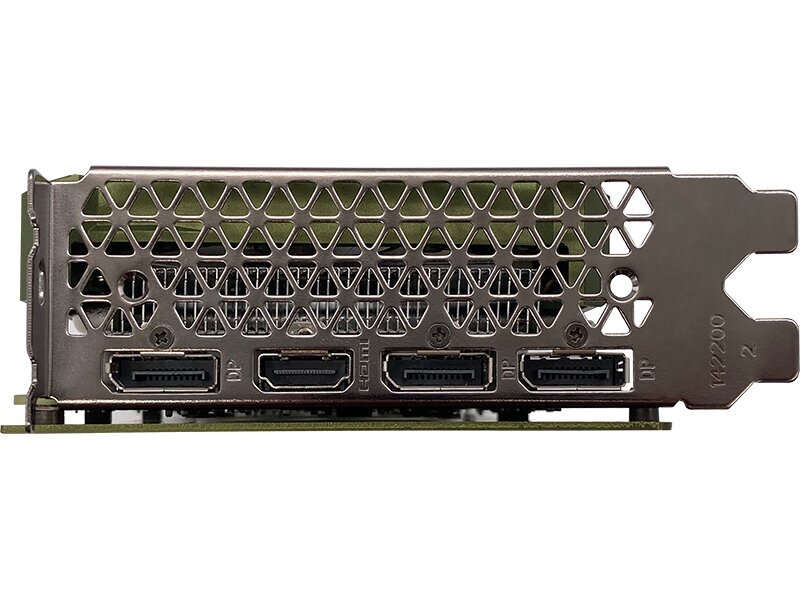 Manli GeForce RTX 4060 (M-NRTX4060/6RGHPPP-M2560) kaina ir informacija | Vaizdo plokštės (GPU) | pigu.lt