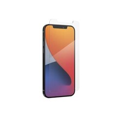 Защитное стекло для iPhone 13 Pro Max 6,7" цена и информация | Google Pixel 3a - 3mk FlexibleGlass Lite™ защитная пленка для экрана | pigu.lt