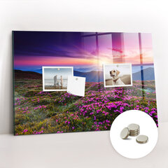 Magnetinė lenta Saulėtekio Gėlės, 90x60 kaina ir informacija | Kanceliarinės prekės | pigu.lt