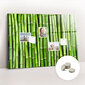 Magnetinė lenta Bambuko Siena, 100x70 kaina ir informacija | Kanceliarinės prekės | pigu.lt