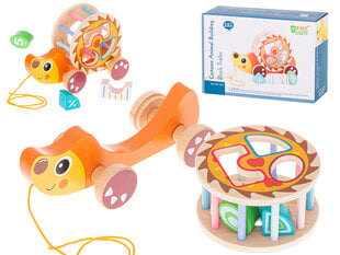 Medinis žaislas ant virvutės ežiukas kaina ir informacija | Lavinamieji žaislai | pigu.lt