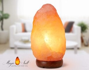 Пакистанская соляная лампа Magic Salt Lighting For Your Soul цена и информация | Настольные светильники | pigu.lt