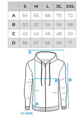 Džemperis vyrams Ombre OM-SSPS-0156 kaina ir informacija | Megztiniai vyrams | pigu.lt