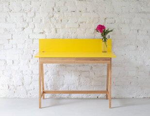 Rašomasis stalas Luka, smėlio spalvos kaina ir informacija | Kompiuteriniai, rašomieji stalai | pigu.lt