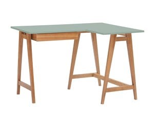 Rašomasis stalas Luka, 115x85 cm, žalias kaina ir informacija | Kompiuteriniai, rašomieji stalai | pigu.lt
