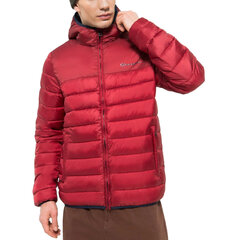 Hooded jacket champion 218073rs506 vīriešiem raudona men's red 218073RS506 цена и информация | Мужские куртки | pigu.lt