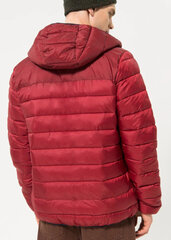 Hooded jacket champion 218073rs506 vīriešiem raudona men's red 218073RS506 цена и информация | Мужские куртки | pigu.lt