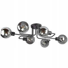 Подвесной потолочный светильник Luxolar  цена и информация | Потолочные светильники | pigu.lt