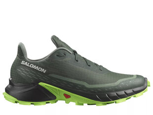 Alphacross 5 salomon l47311700 vīriešiem žalioji men's green L47311700 цена и информация | Кроссовки для мужчин | pigu.lt