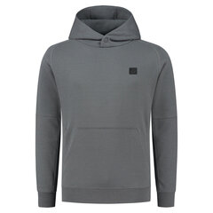 Code tech relaxed hood superdry m2013084ahsz vīriešiem pilka men's grey M2013084AHSZ цена и информация | Мужские толстовки | pigu.lt