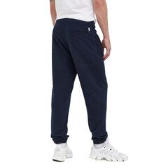 Sportswear logo tarped jogger superdry m7010996a98t vīriešiem tamsiai melyna men's navy M7010996A98T цена и информация | Мужские брюки | pigu.lt