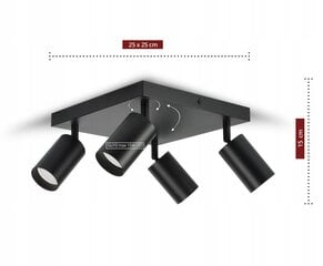 Потолочный светильник Luxolar, черный цена и информация | Потолочные светильники | pigu.lt
