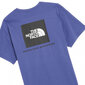 Marškinėliai vyrams The North Face, violetiniai kaina ir informacija | Vyriški marškinėliai | pigu.lt