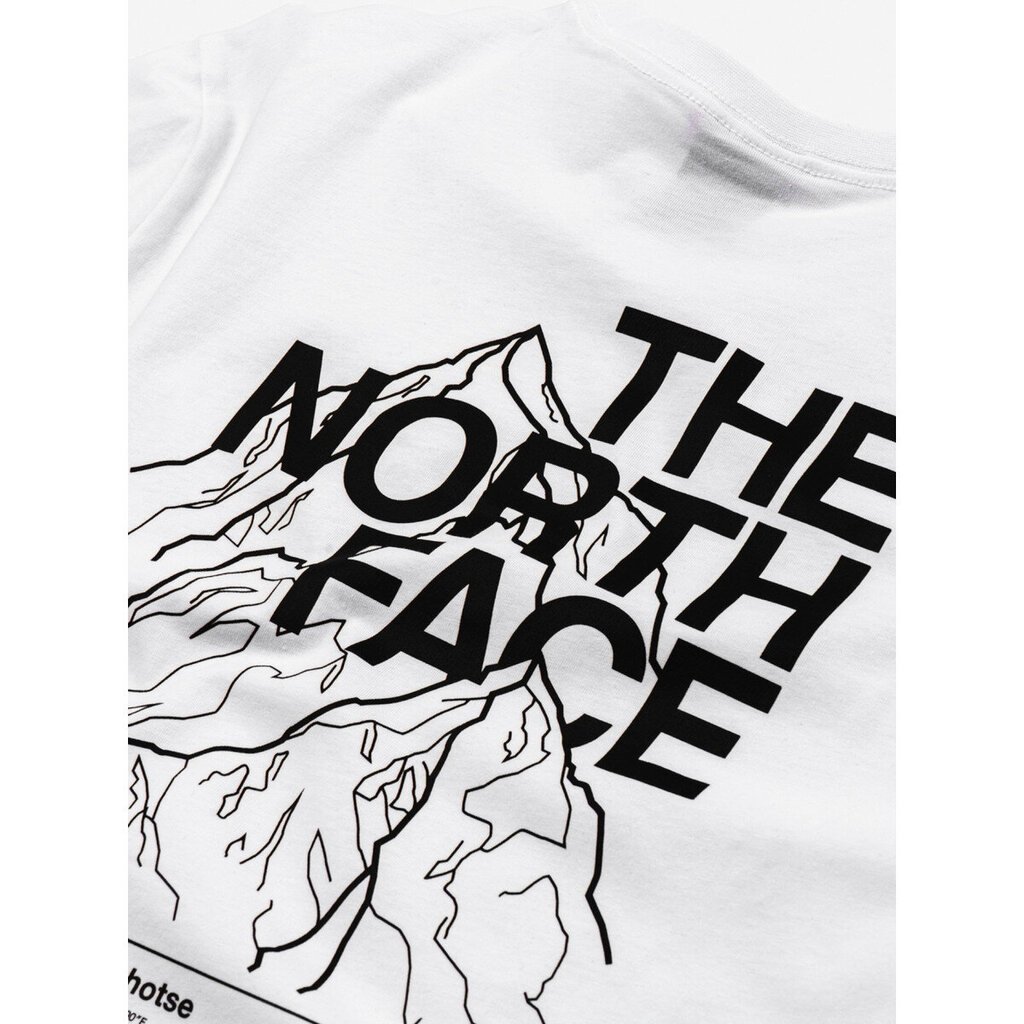 Marškinėliai vyrams The North Face, balti цена и информация | Vyriški marškinėliai | pigu.lt
