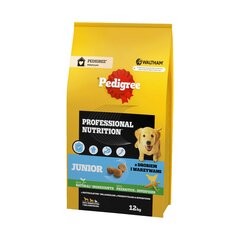 Pedigree Junior Professional Nutrition didelių ir vidutinių veislių šuniukams su paukštiena ir daržovėmis, 12 kg kaina ir informacija | Pedigree Gyvūnų prekės | pigu.lt