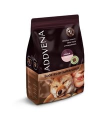 Addvena Boosted by Superfoods mažų veislių jauniems šunims su žvėriena, triušiena ir jautiena, 2,5 kg kaina ir informacija | Sausas maistas šunims | pigu.lt