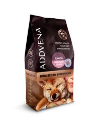 Addvena Boosted by Superfoods для молодых собак средних и крупных пород с дичью, кроликом и говядиной, 10 кг цена и информация |  Сухой корм для собак | pigu.lt