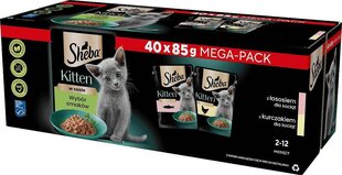 Sheba Kitten jauniems kačiukams su lašiša ir vištiena, 40x85 g kaina ir informacija | Konservai katėms | pigu.lt