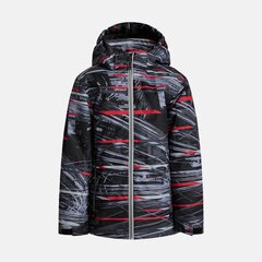 Детская куртка Huppa Terrel, серый/красный цена и информация | Куртки для мальчиков | pigu.lt